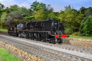 Hornby R30135 BR Princess Royal Class 'The Turbomotive' 4-6-2 No. 46202 DCC Ready OO Gauge