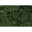 Woodland Scenics L163 Lichen, Medium Green