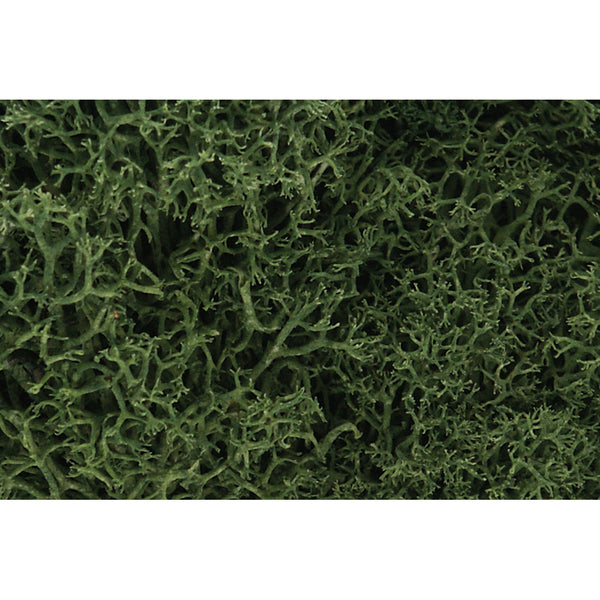 Woodland Scenics L163 Lichen, Medium Green