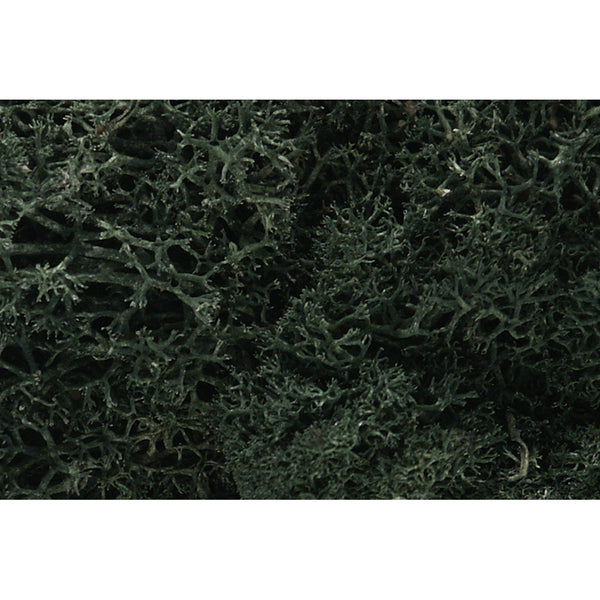 Woodland Scenics L164 Lichen, Dark Green